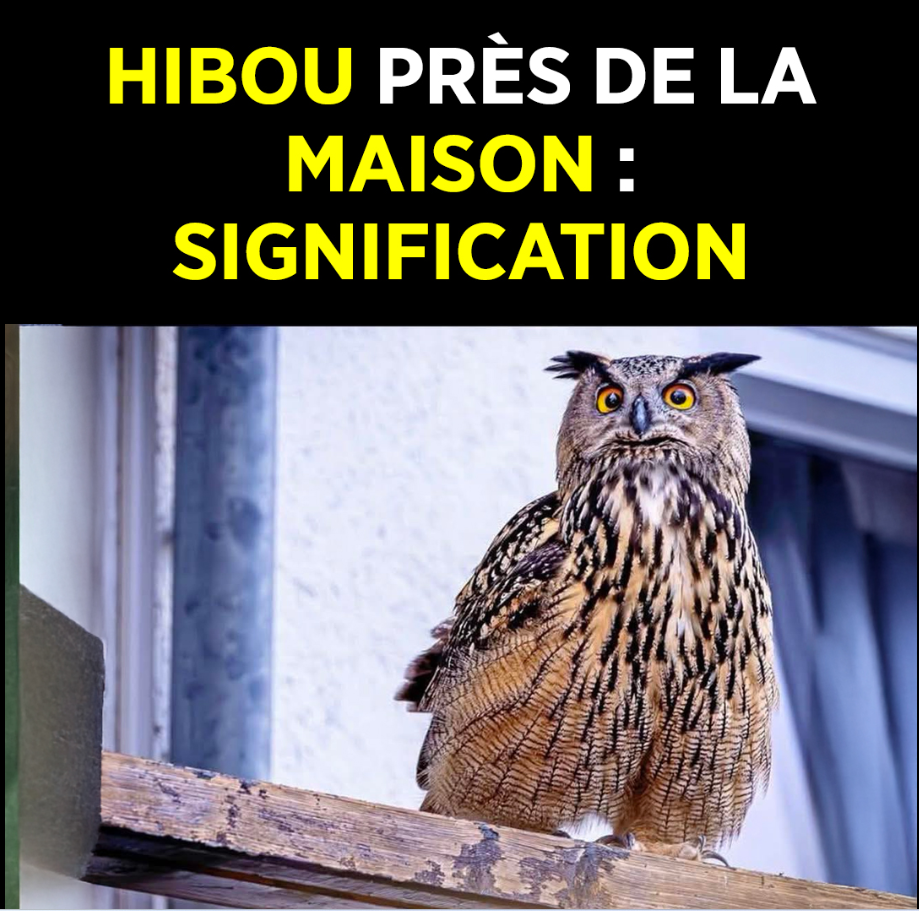 Capture decran 2026 03 08