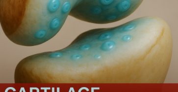 Capture decran 7 11 2025 01645 chatgpt.com