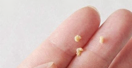 ChatGPT Image Mar 8 2026 05 20 52 PM