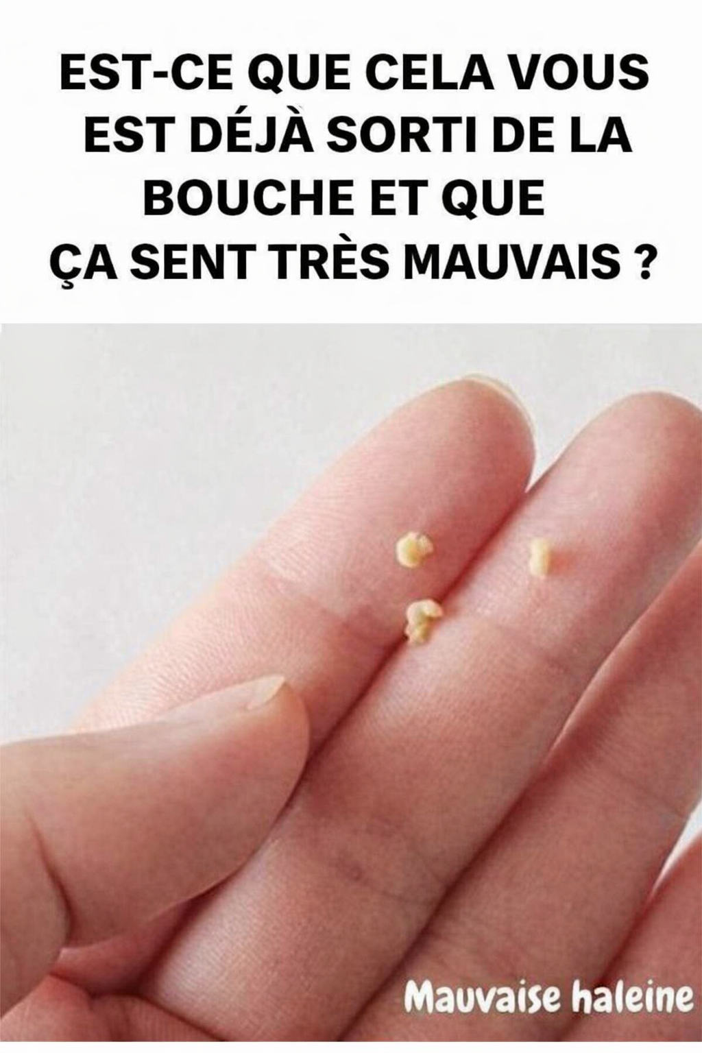 ChatGPT Image Mar 8 2026 05 20 52 PM