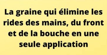 IMG 20251022 WA006314