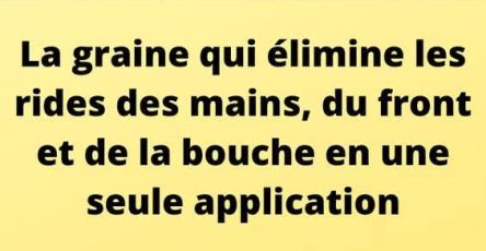 IMG 20251022 WA006314