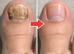 Thiet ke chua co ten 2026 03 21T124413.736