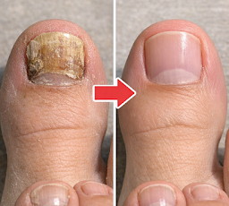 Thiet ke chua co ten 2026 03 21T124413.736