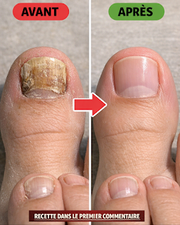 Thiet ke chua co ten 2026 03 21T124413.736