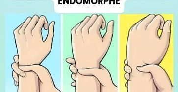 Untitled Project 2026 01 31T215419.797