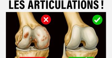 WhatsApp Image 2025 10 04 at 00.59.32