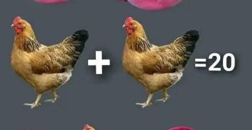 WhatsApp Image 2026 03 02 at 19.37.05