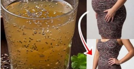 XX470048331 122146694642477614 9126419413019102608 n 1 444 200