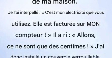 A31073de 2b9e 44ee bc7e d99a764e212c