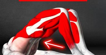 A36deaa1 a56f 4dfa 8a6c 34ca5fb237a4