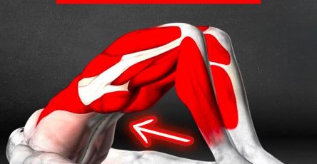 A36deaa1 a56f 4dfa 8a6c 34ca5fb237a4