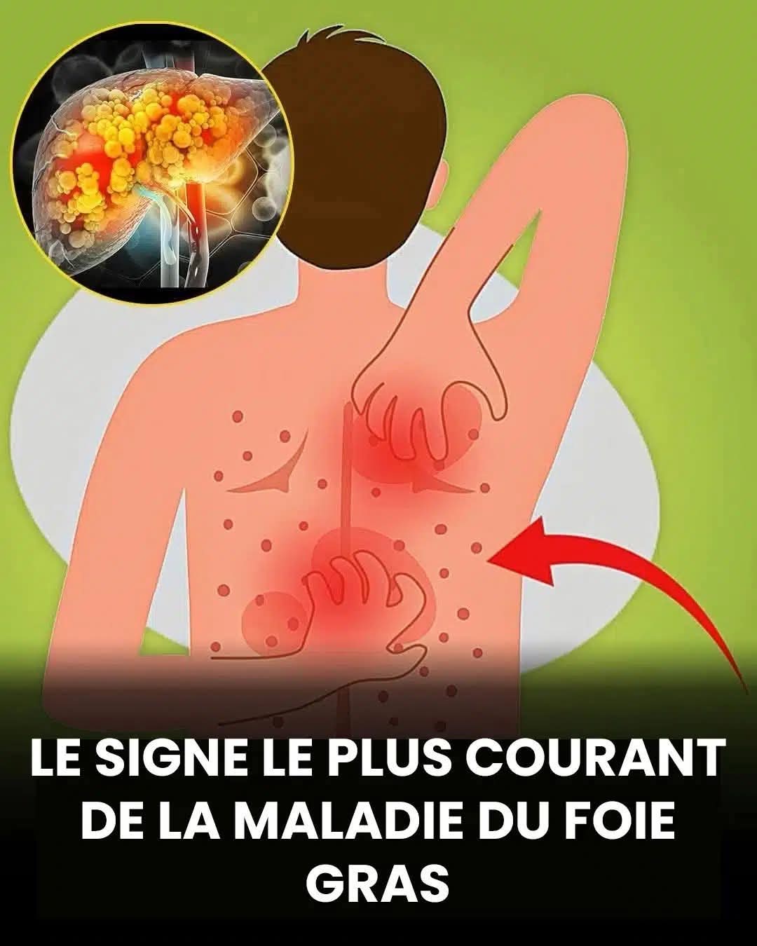 Aa8f217f 8845 4382 b7ce 71563eb5056c