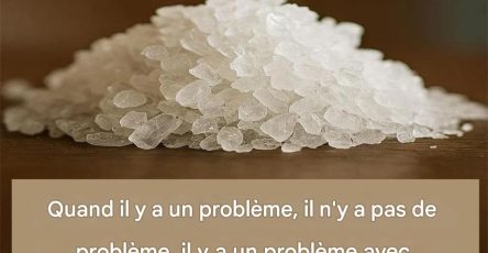 B4780d9c 9a9e 4f46 b7b3 bb97fb5c4345