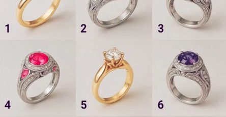 Be2d231d 56fe 4bda 870e 8e8e219bab4b