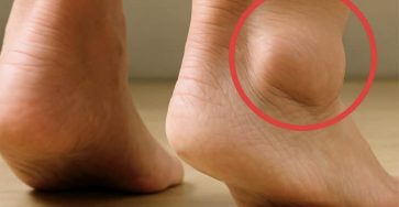 C16a6d43 bf1a 436c 8947 ce0bd3d4ba9b