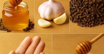 De4068b5 6b7a 482c 8fe6 8906305c6250