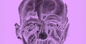 E1c4c1e0 053a 448c bf0a add802a5eae6