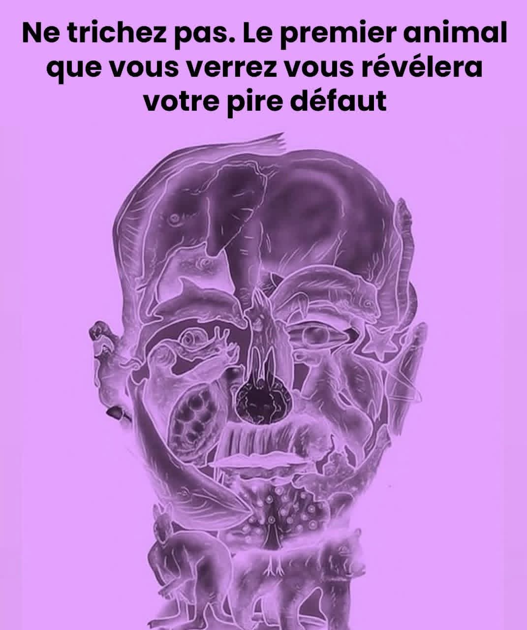 E1c4c1e0 053a 448c bf0a add802a5eae6