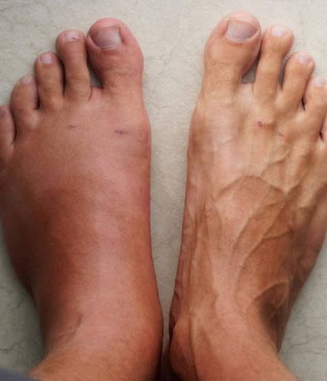 E246b935 08c9 4033 8533 07b467130d60