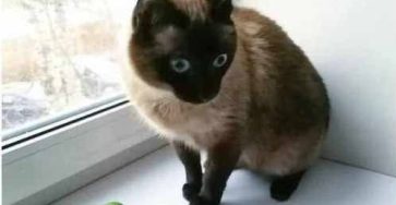 F1d57258 f47d 4f24 b3be de76ff8d4111