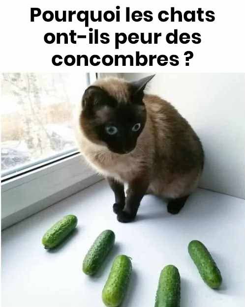 F1d57258 f47d 4f24 b3be de76ff8d4111