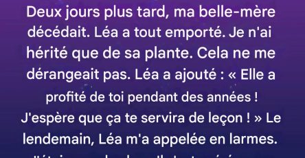 F54039df 00d6 46e6 8146 7f9cc9c58ca0