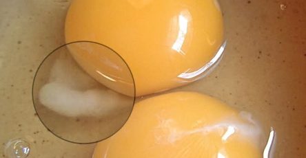 F83e32fe f838 4f80 bf58 e90326327fa3