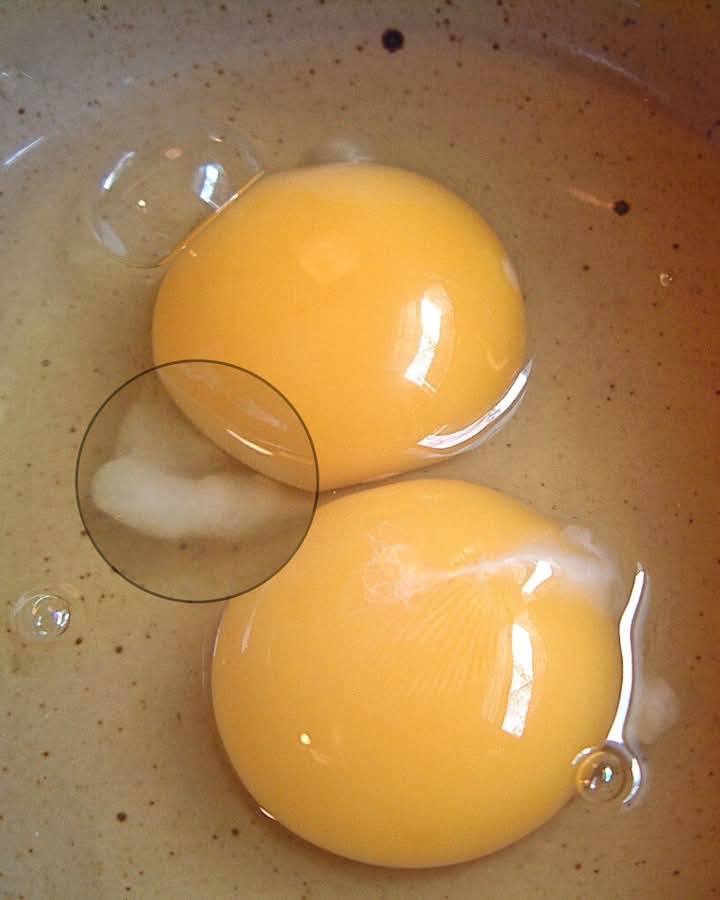 F83e32fe f838 4f80 bf58 e90326327fa3