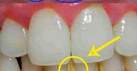 Fe0a64bd fc1d 4bcb 9560 054e053315cf