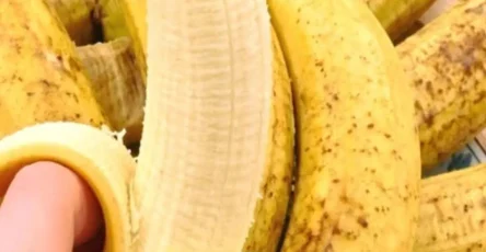 Quels sont les bienfaits des bananes pour les personnes de plus de 50 ans.jpg