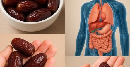 533253189 773959685071569 8037344988313899091 n