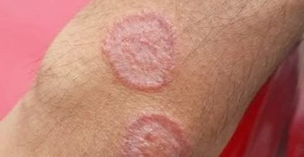 618674752 1215982054073161 1029168867496899580 n