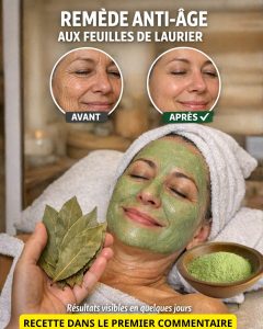 651239087 1532400618890826 2022650456400670534 n