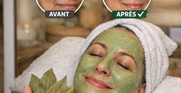 651239087 1532400618890826 2022650456400670534 n