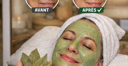 651239087 1532400618890826 2022650456400670534 n