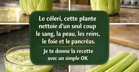 653362759 122126892585049208 8705451441560749594 n