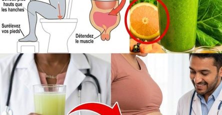 659019242 1375112971089803 8237460932992686400 n