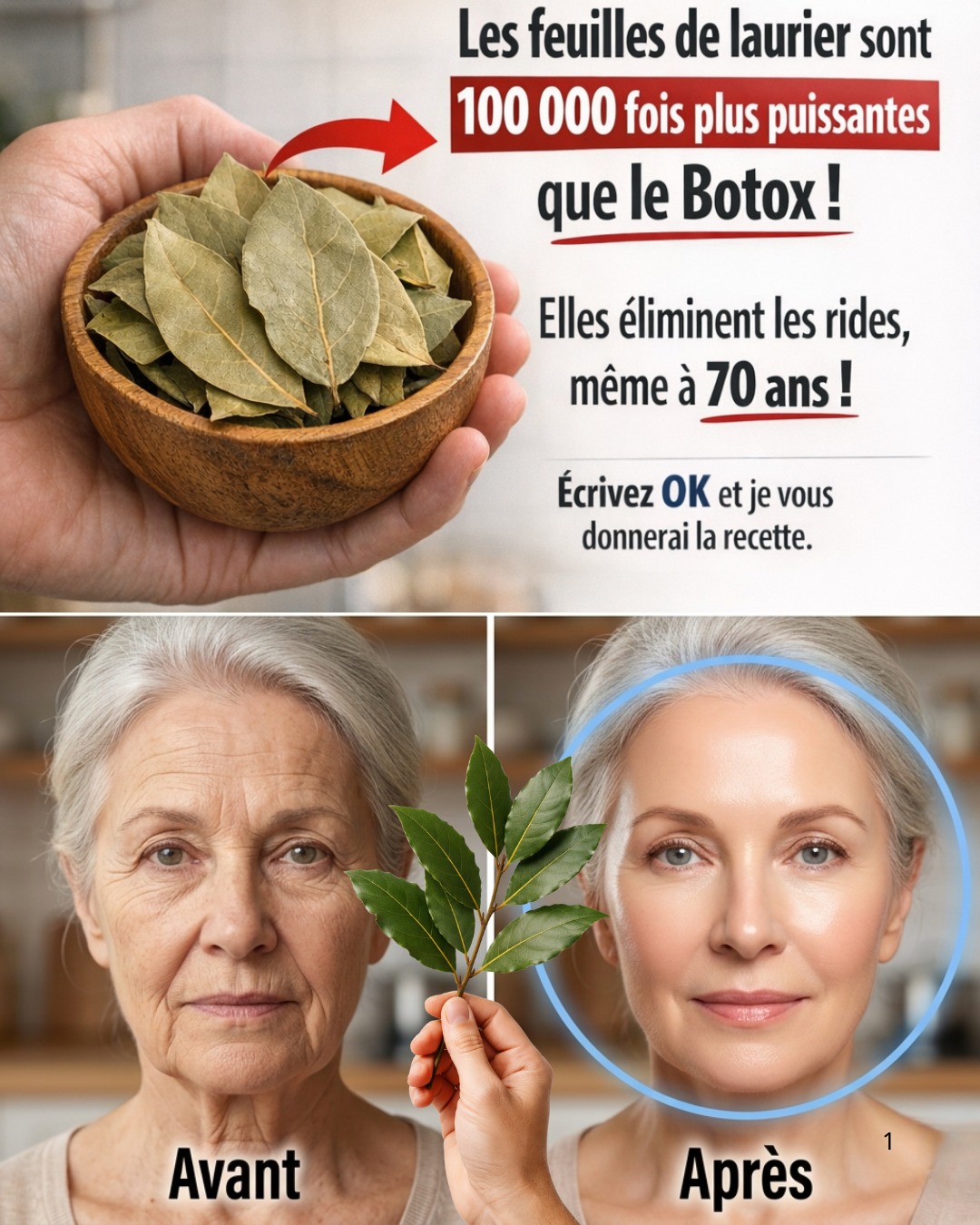 659838792 913037728213476 8639539857610878778 n