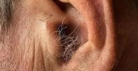 668585597 122103884414880481 5204489890735893071 n