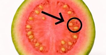 WhatsApp Image 2026 04 09 at 02.11.28