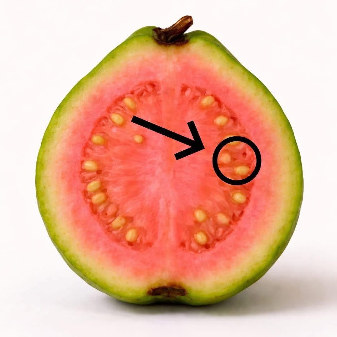 WhatsApp Image 2026 04 09 at 02.11.28